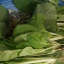 연한농장 이미지