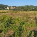 상포1천 이미지