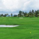 루비트리 이미지