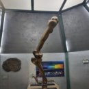 월드파크장 이미지