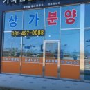 비전공인중개사사무소 네이버블로그