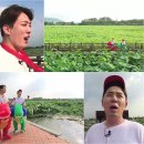 트립월드