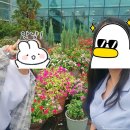 정부청사역 4번출구 | [대전] 대전 한밭수목원 짐 보관 열대식물원 무료 물품보관소