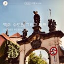 비바리 호프 이미지