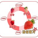 금실농장 이미지