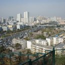 남호 목장 Daum카페