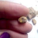 메가비뇨의학과의원 이미지