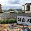 안성 광덕초등학교 경기인터넷신문