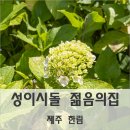 수국은 아직... 성이시돌 젊음의 집 🪻 제주 한림
