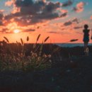 해맞이해안로 이미지