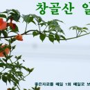 볼만한 좋은 자료 (8월11일)토요일 이미지