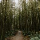 (주)자리 이미지