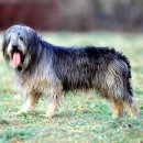 영구축산 이미지