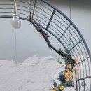 은숙농장 이미지