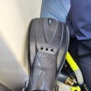 수영우리약국 | [10월 뉴질랜드 뚜벅이여행]6.카이코우라 돌핀 스윔 후기(예약, 가격, 고프로 대여, 수영 못해도 가능)