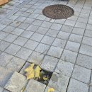 로트빌 | 매립이동식 볼라드 파손 교체 보수 설치