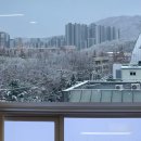 아프니카 이미지