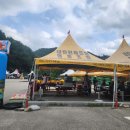 인제내린천 자작나무숲 겨울이네펜션 이미지