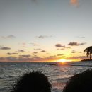 주상희행정사사무소 이미지