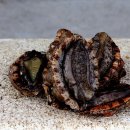 청사포로 이미지