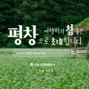이효석문화예술촌 이미지