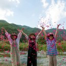 풍차펜션민박 이미지