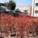 거창군 산림조합 이미지