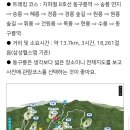 일능이버섯백숙 Daum카페