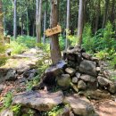 진밭목장 이미지