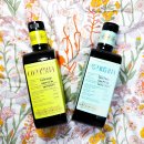 이음여성한의원 | 필수템｜[프란체스코 칠로] 하이 페놀릭 올리브오일 내돈내산 후기 (모노 코라티나 vs 모노 페란자나 비교)