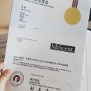 Miscent 이미지