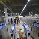 동구미 현대 | 구미에서 대경선 타고 떠난 대구 나들이 동성로 현대백화점 트리까지