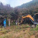 김성환 농장 이미지