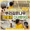 순천 아이와 가볼만한곳｜옛 물건 구경 재미있는 뿌리깊은나무박물관🌿