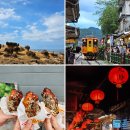 타이베이 근교 일일 예스지버스투어 내돈내산 (펀트립 한국인가이드)