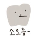베지박스