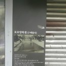 백합사 이미지