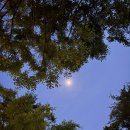 한솔마트D | 울산 입화산 제2오토캠핑장 힐링 초대캠 (602번 사이트)