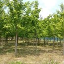 갈뫼농장 이미지