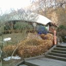 용인나무이야기 이미지