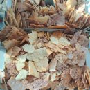 현대적인 슝늉과 누룽지 이미지