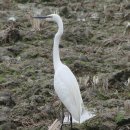 백로산장 이미지