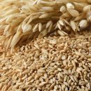 장수하는 비결 &#39;10대 건강 식품 이미지