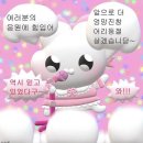 다줄 | 엉망진창 어리둥절 빙글빙글 잘 돌아가는 요즘 일상