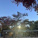 양덕동 삼각지 공원 이미지