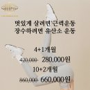 더월드짐 이미지