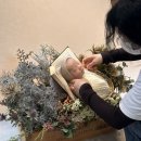 도진빌딩 | 허유재조리원 연계 50일 촬영 아이민스튜디오 내돈내산 촬영후기