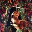 지리산대경캠핑장 이미지