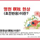 명현 이미지