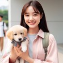 굿펫 이미지